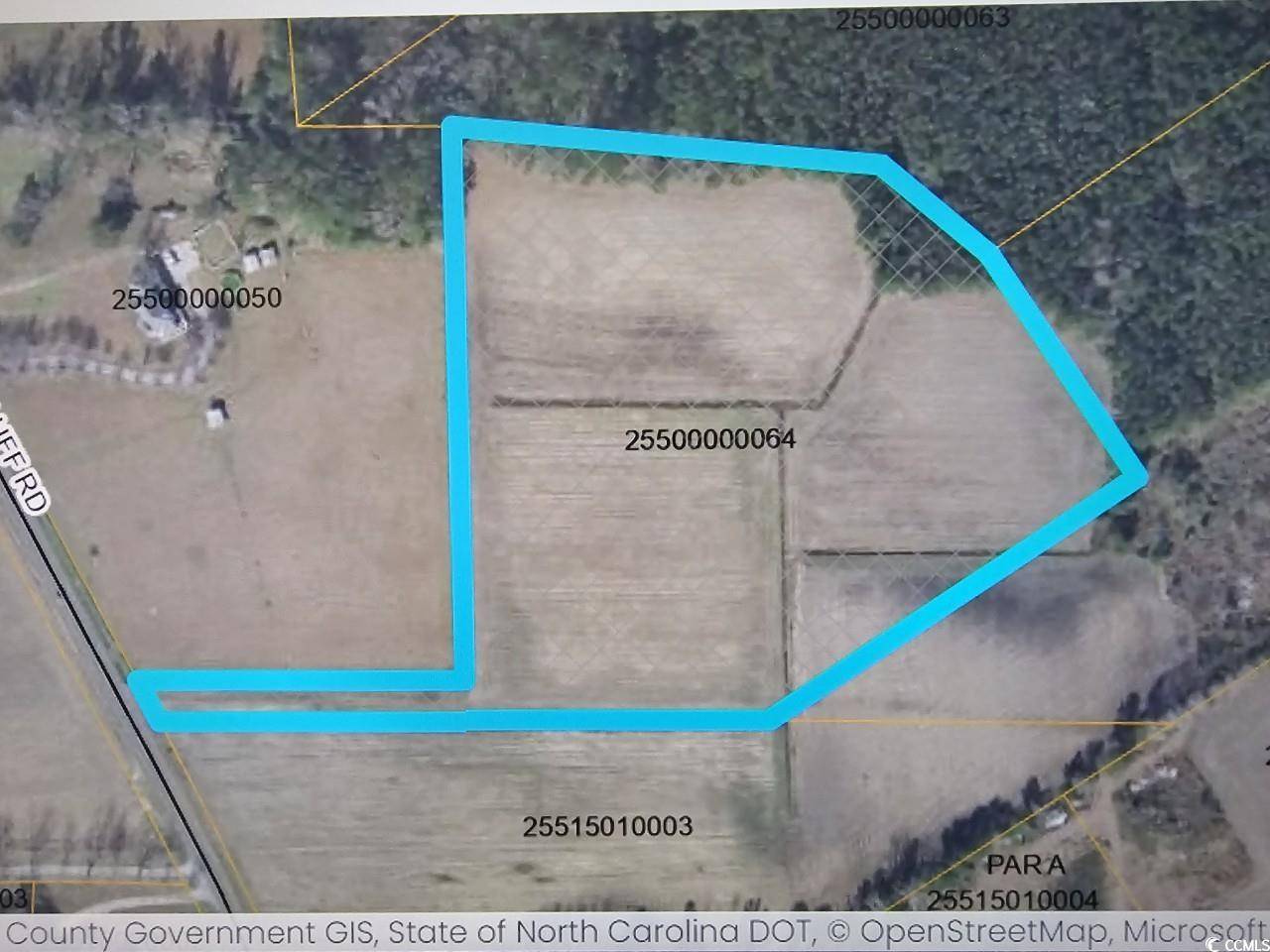 TBD Red Bluff Rd., Loris, SC 29569