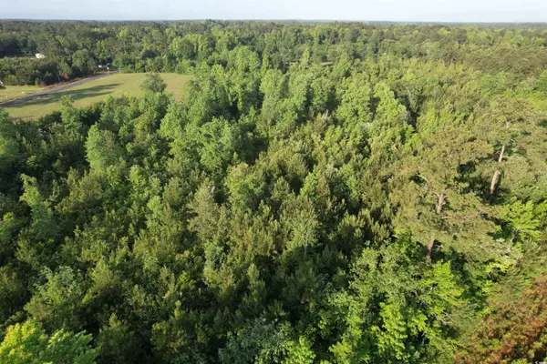 Hemingway, SC 29554,5 Acres Lot 2 Old Pee Dee Rd.