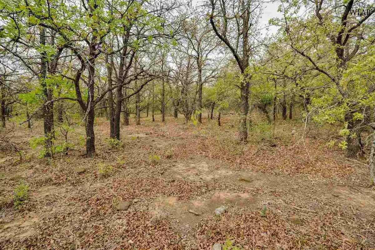 Jacksboro, TX 76458,TBD SPARKMAN ROAD