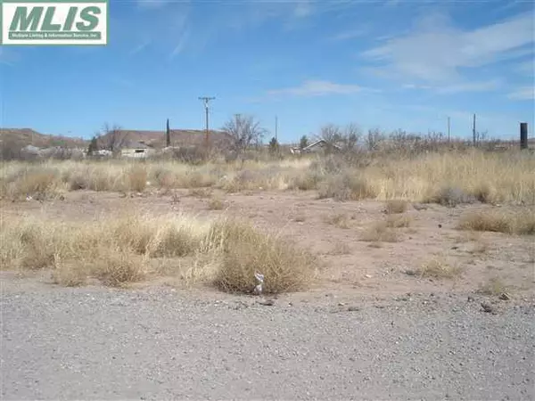 Rincon, NM 87940,2100 Rincon RD