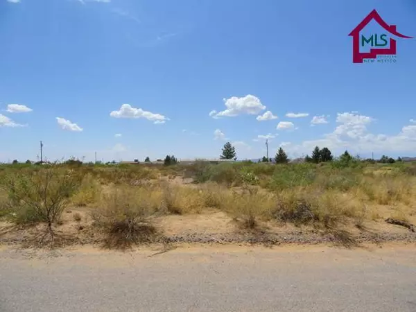 Las Cruces, NM 88011,0001 Wilt AVE