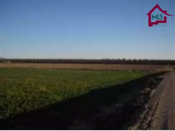 Anthony, NM 88021,Alvarez RD