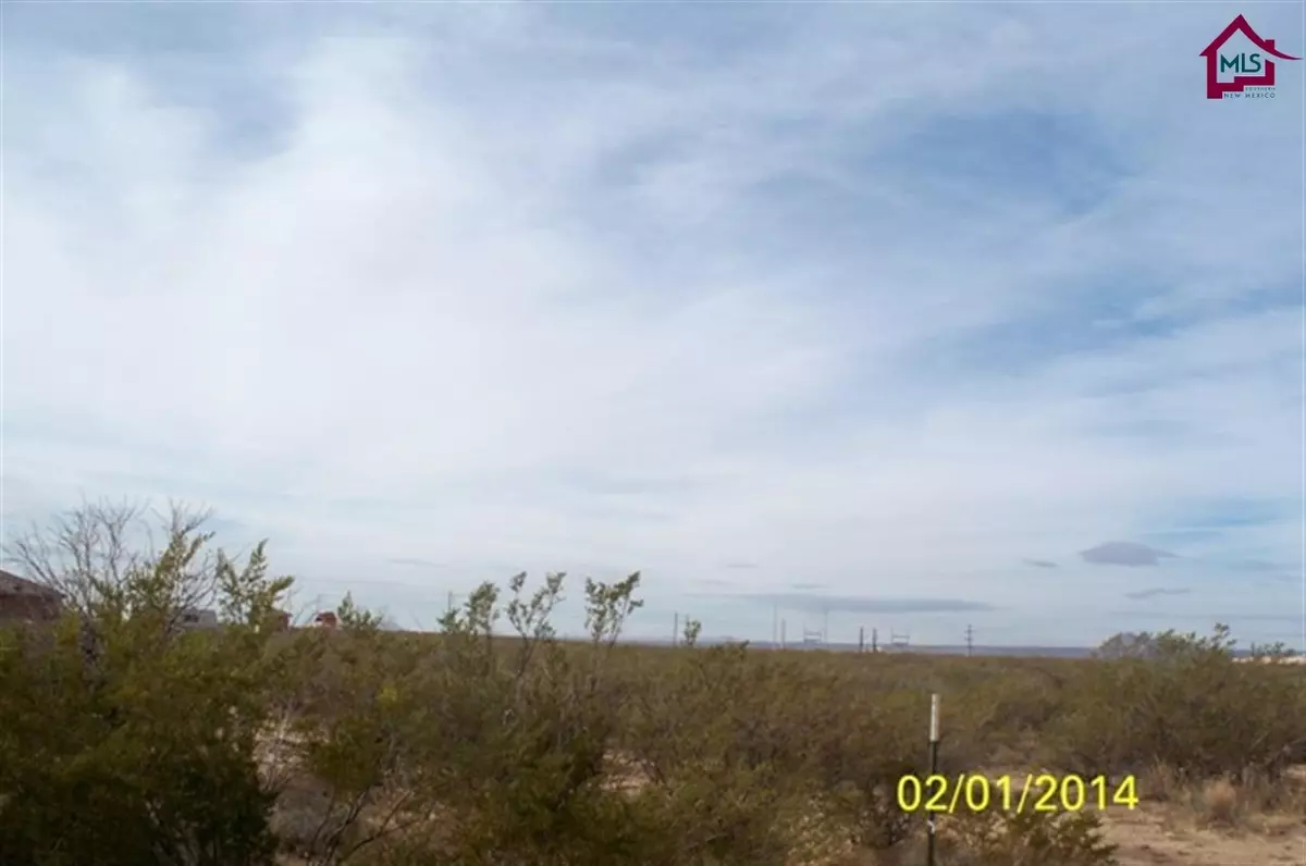 Las Cruces, NM 88012,Lot 12 Lot 12 Calle Pico Gemello