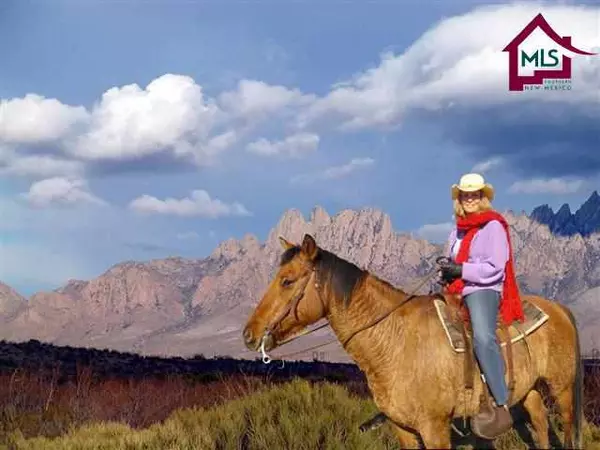 Las Cruces, NM 88011,4999 Horse Springs CT