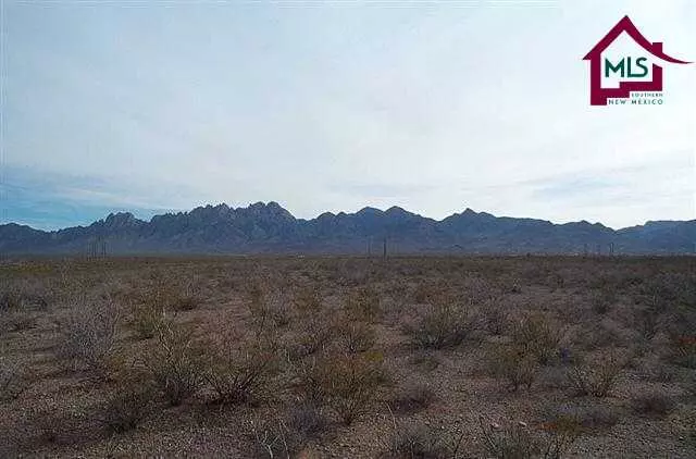 Las Cruces, NM 88011,4949 Horse Springs CT