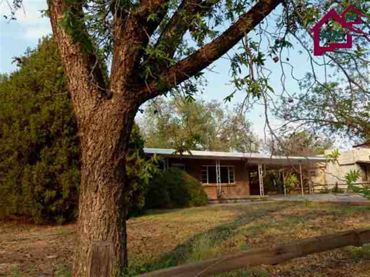 Mesilla, NM 88046,3331 Gandy LN