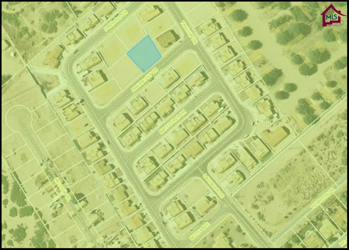 Las Cruces, NM 88007,933 Prairie Lily DR