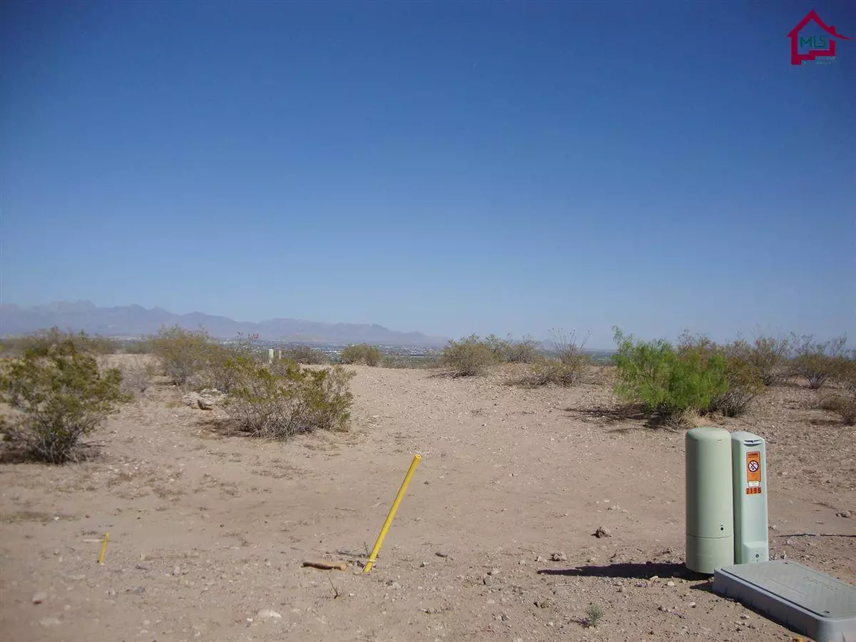 Las Cruces, NM 88007,TBD Tbd Canyon Hills CT