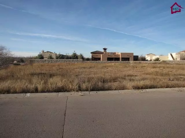 Las Cruces, NM 88005,1684 San Bonifacio Arc