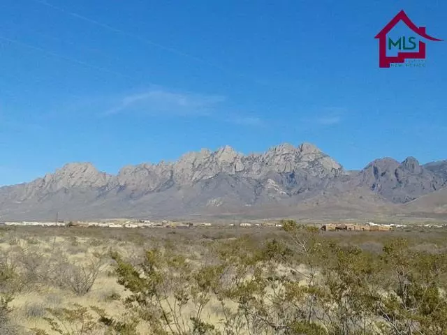 Las Cruces, NM 88011,Lot 29 Lot 29 Alamo Mine TRL