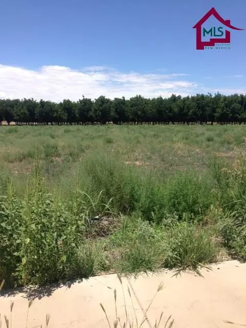 4476 Rociante DR, Las Cruces, NM 88005