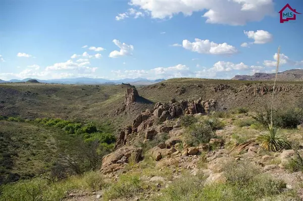 Hillsboro, NM 88042,2 Lake VLY