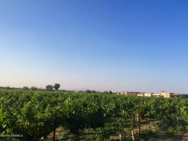 830 Sandy Beach RD, Las Cruces, NM 88005