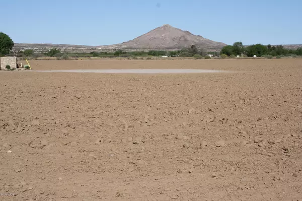 Las Cruces, NM 88007,1462 Del Rio DR