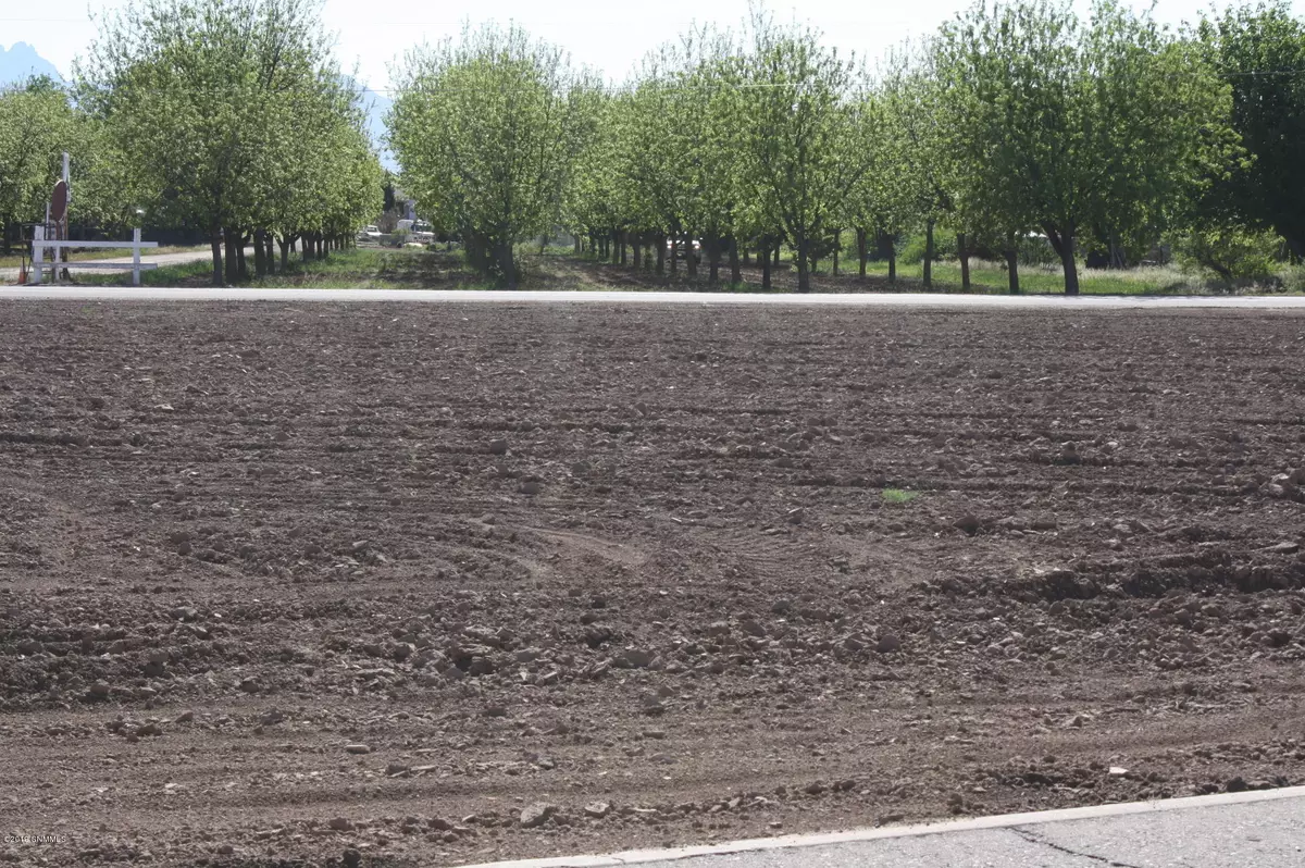 Las Cruces, NM 88007,1401 Del Rio DR