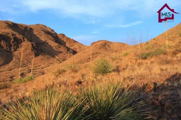 Las Cruces, NM 88011,12690 Chuck Wagon RD