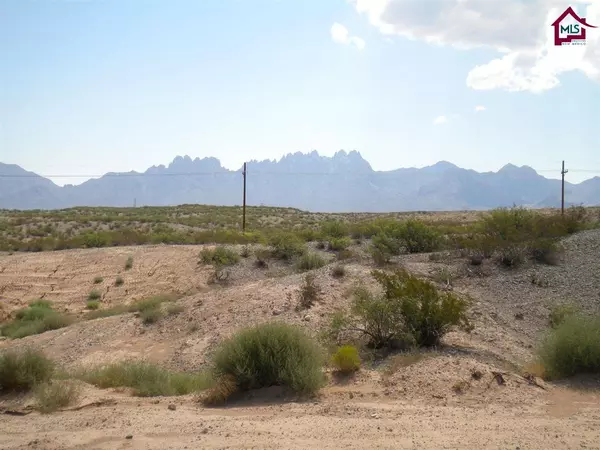 Las Cruces, NM 88011,4626 Azure Hills RD