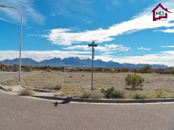 Las Cruces, NM 88011,4463 Purple Sage DR