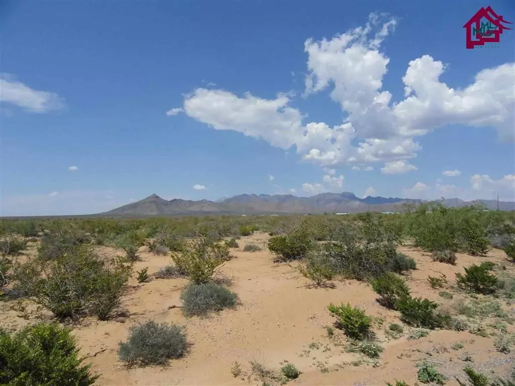 Vado, NM 88072,0 Bar Circle M RD