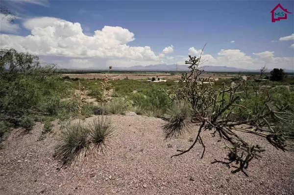 Las Cruces, NM 88007,2 Acre Acre Raasaf DR