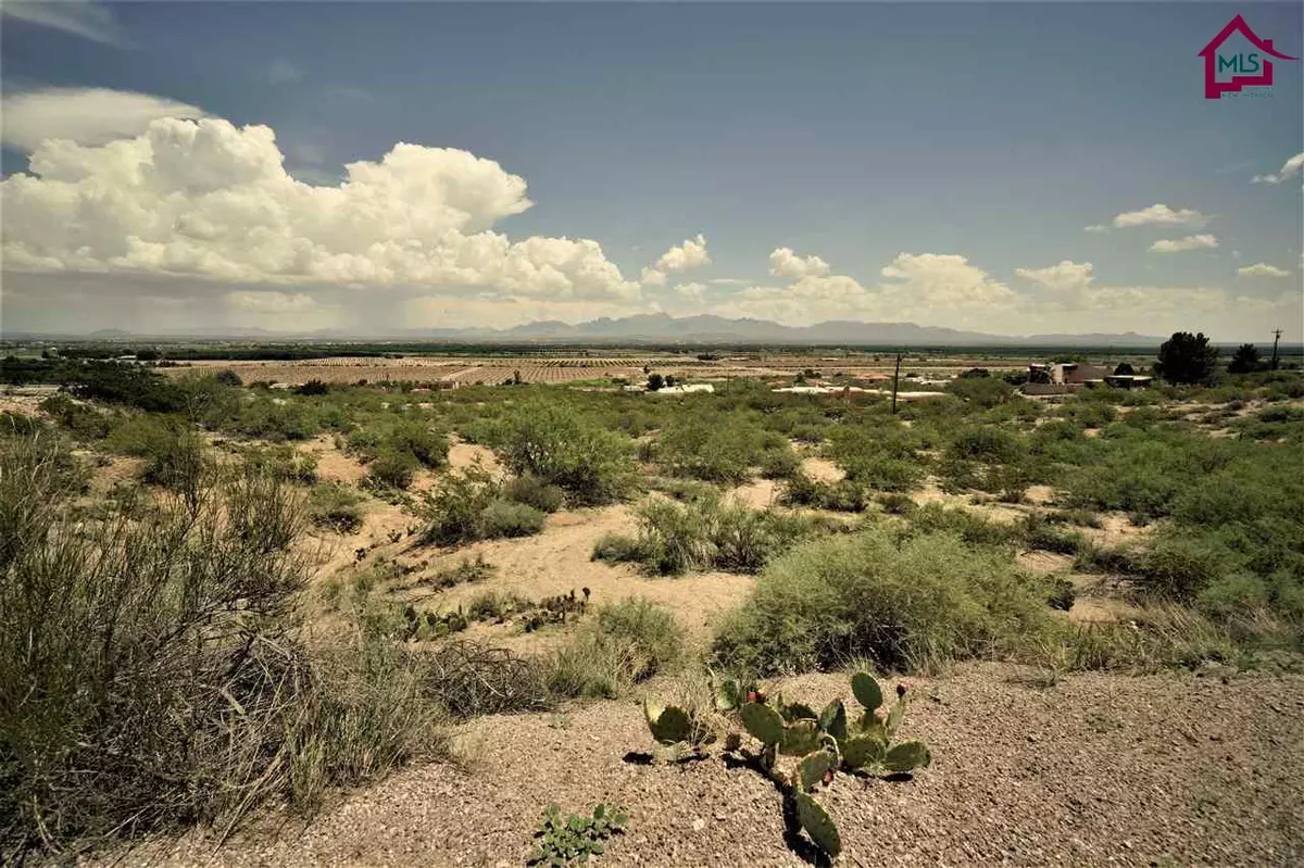 Las Cruces, NM 88007,2 Acre Acre Raasaf DR