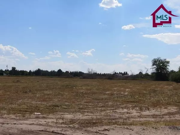 Mesilla, NM 88046,2A Stanford ST