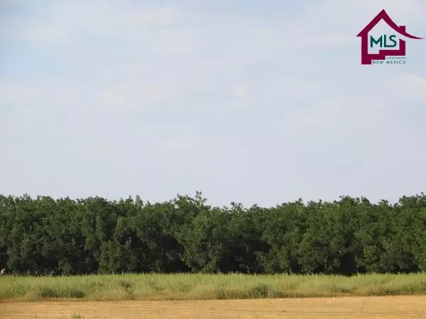 Mesilla, NM 88046,2A Stanford ST