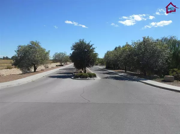 Las Cruces, NM 88005,1564 San Bonifacio Arc