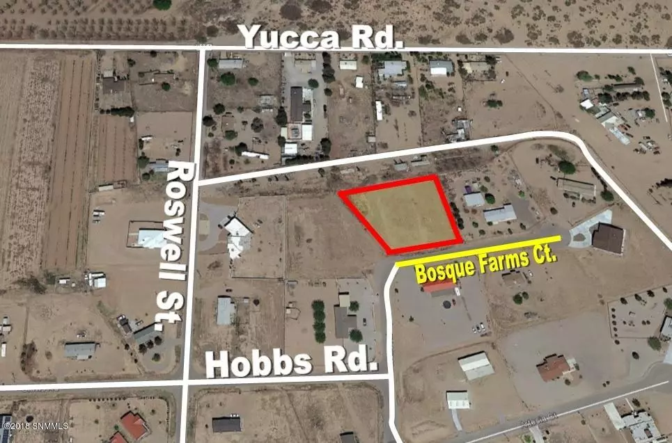 Mesilla Park, NM 88047,1311 Bosque Farms CT