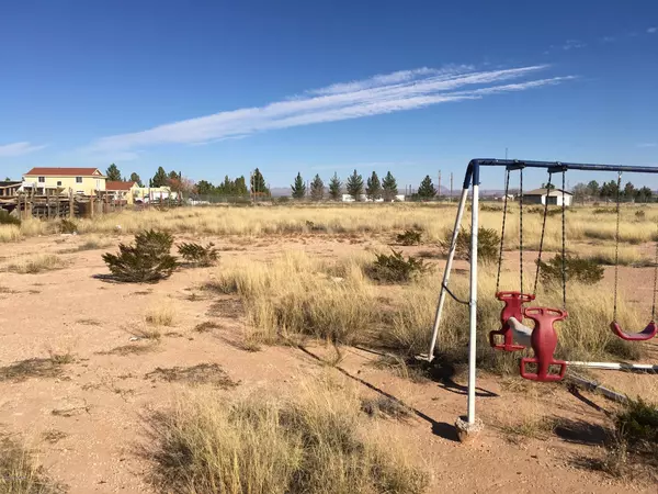 Chaparral, NM 88081,413 Kellie ST