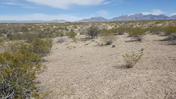0000 Mount Baldy, Las Cruces, NM 88012