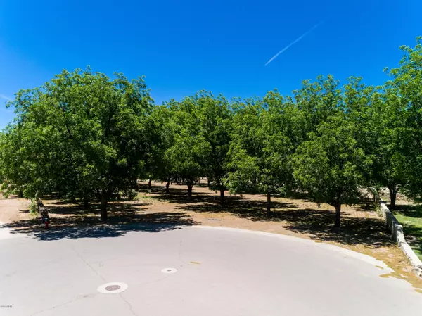 3000 Mesilla Verde Terrace TER, Las Cruces, NM 88005