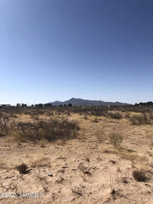 Chaparral, NM 88081,2385 San Carlos ST