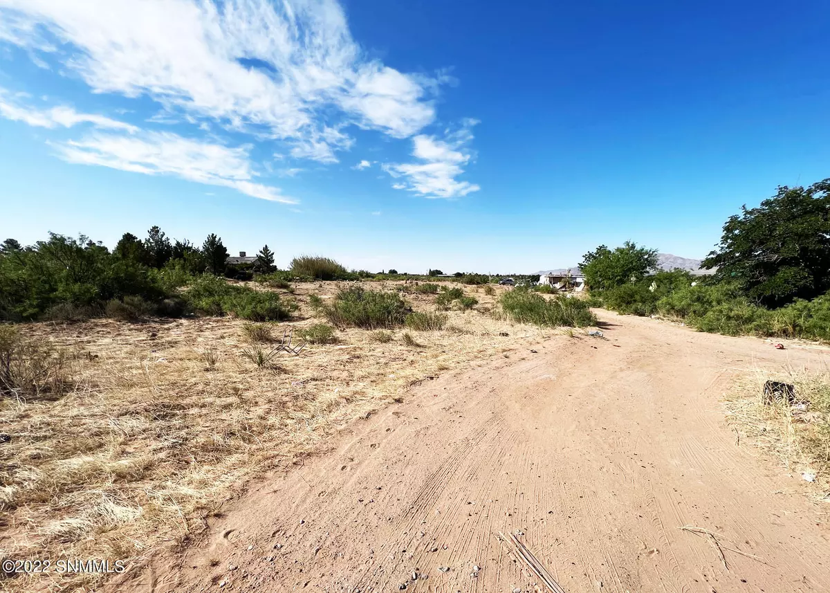 Chaparral, NM 88081,341 Luna Azul DR