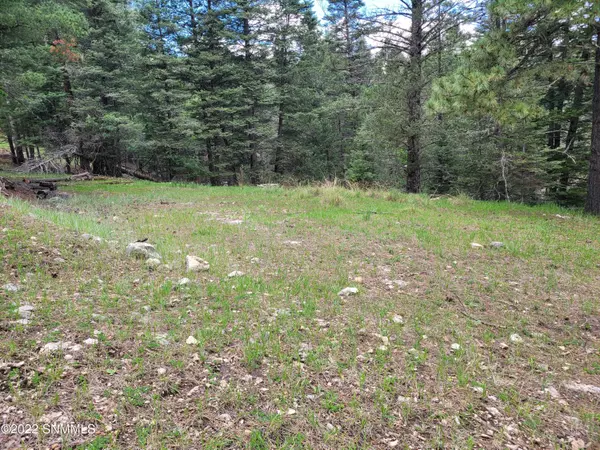 Cloudcroft, NM 88317,00 Teton Ln.