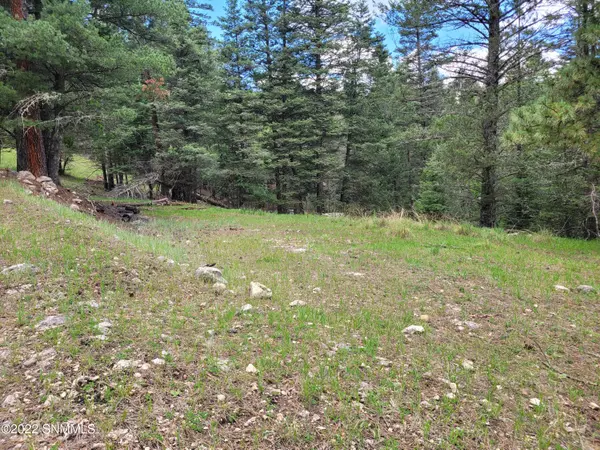 00 Teton Ln., Cloudcroft, NM 88317