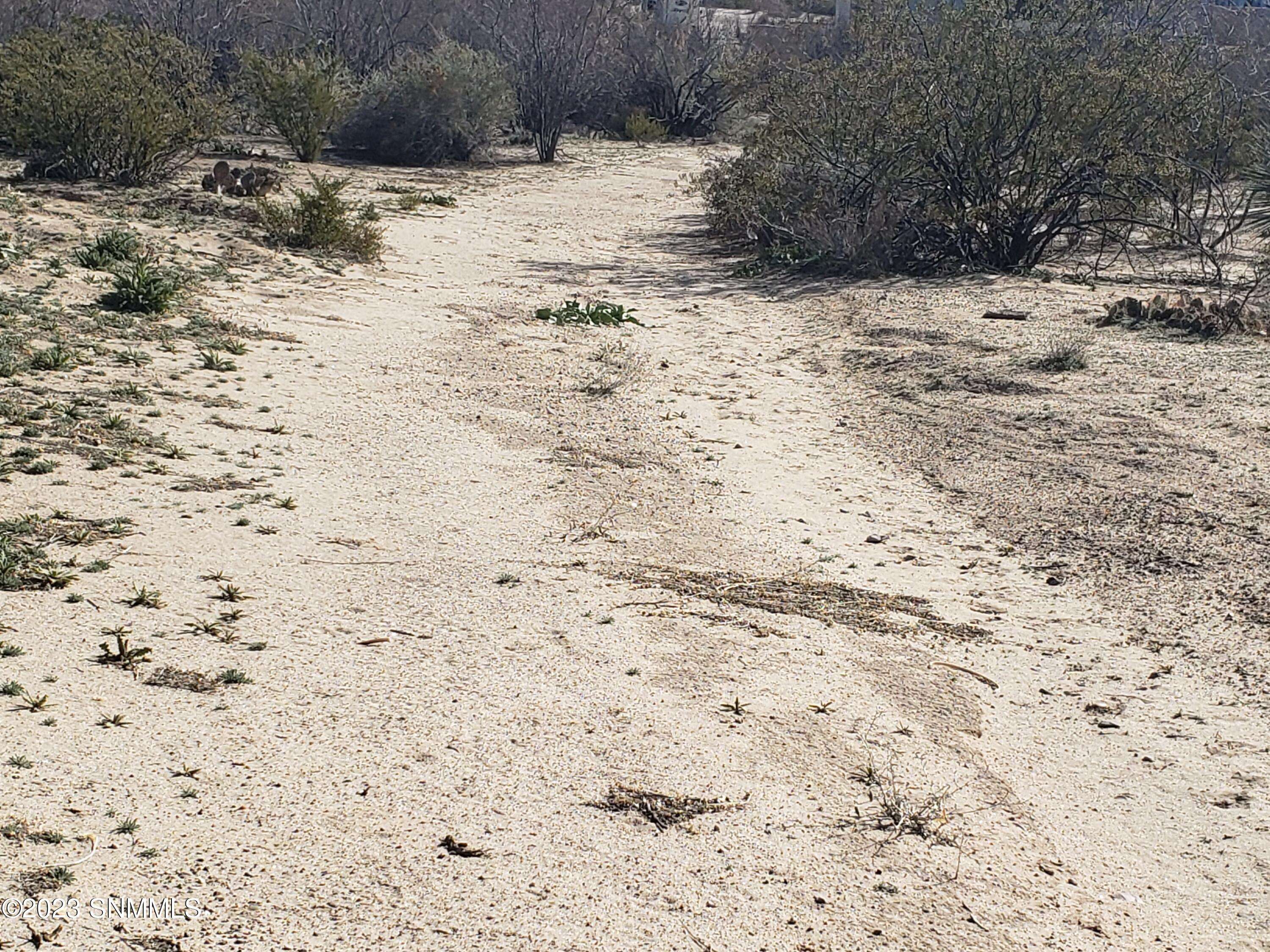 Las Cruces, NM 88012,5050 Mescalero TRL