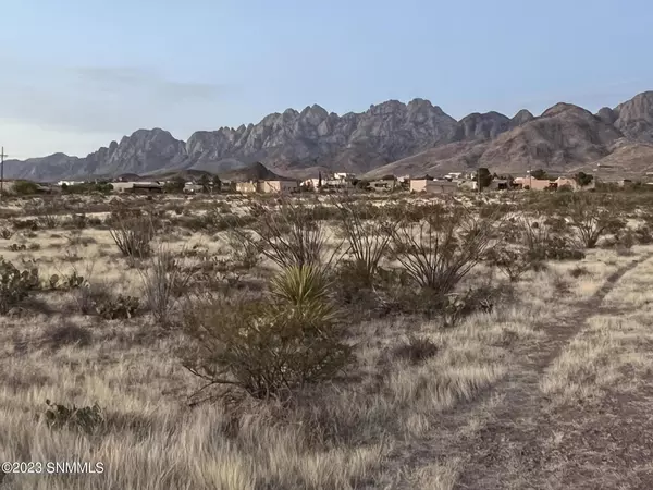 Las Cruces, NM 88011,5113 Silver King RD