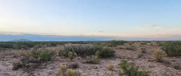 Deming, NM 88030,1019 SW ELOTE RD