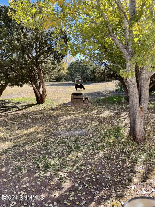 La Luz, NM 88337,32 Tumbleweed TRL