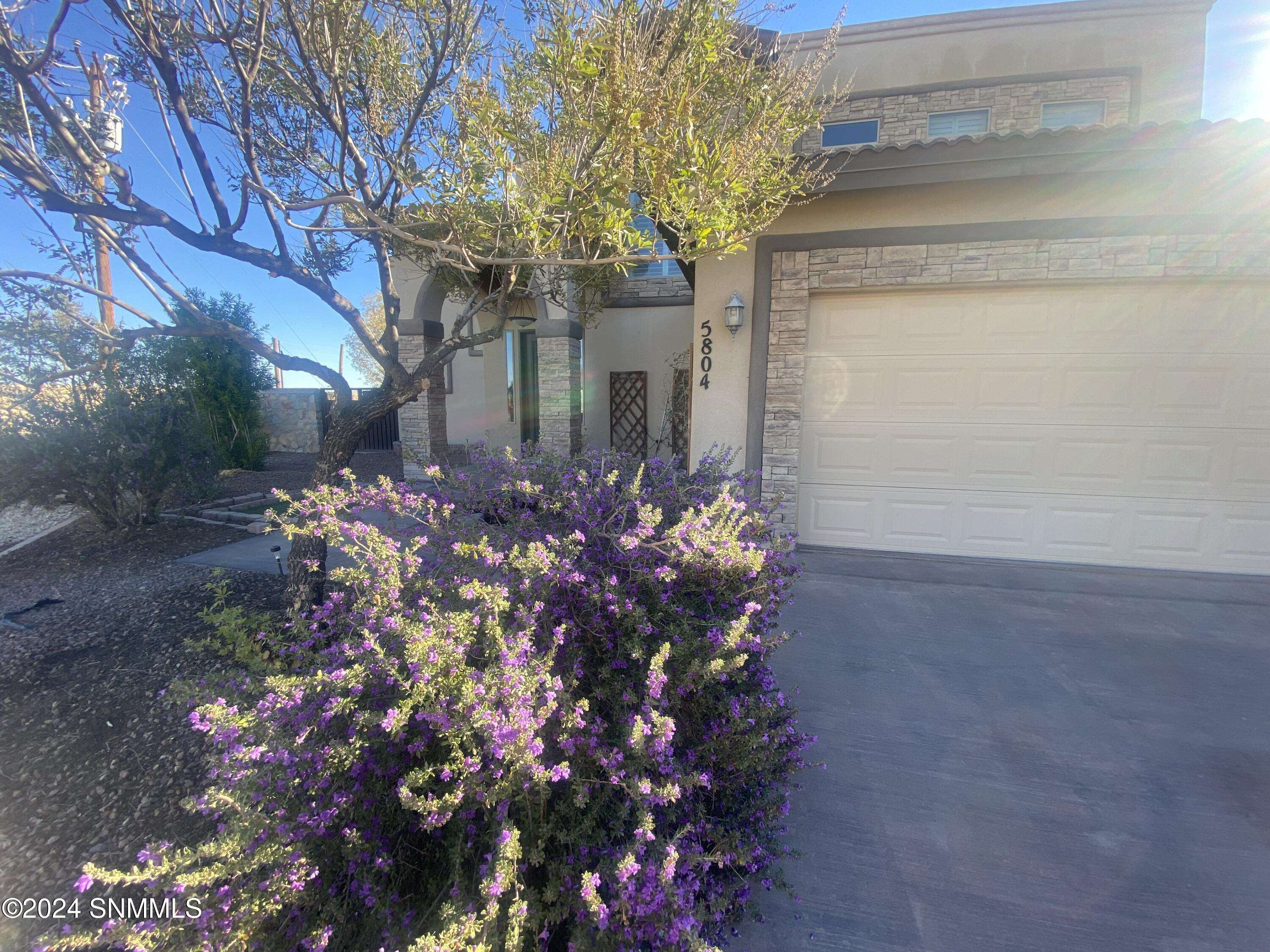 Sunland Park, NM 88008,5804 Britain DR