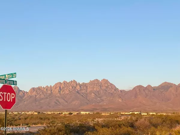 Las Cruces, NM 88011,7829 Waterfall Cyn LN