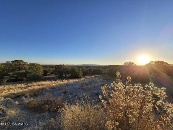 TBD ''B'' XYZ Ranch Road, Silver City, NM 88061