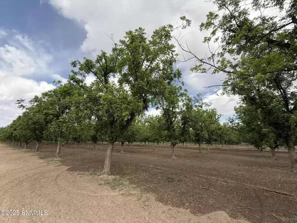 Las Cruces, NM 88005,4695 Snow RD