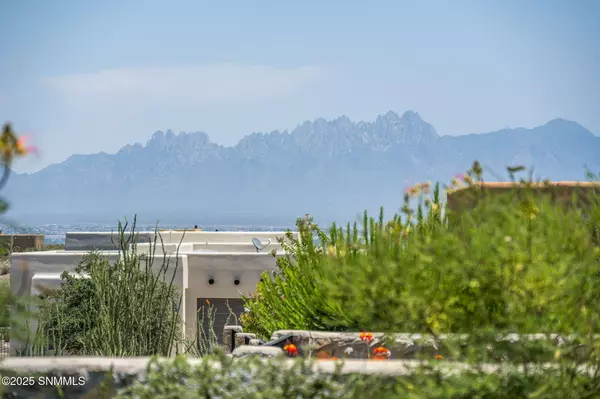 Las Cruces, NM 88007,8156 Willow Bloom CIR