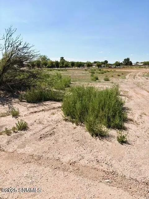 Mesilla Park, NM 88047,525 E Organ RD