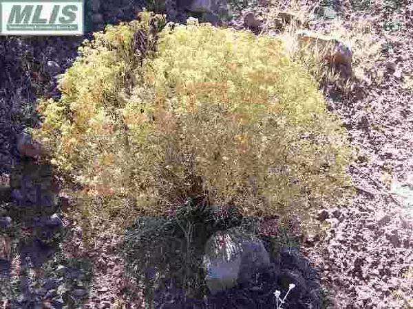 Las Cruces, NM 88011,000 Silver King RD