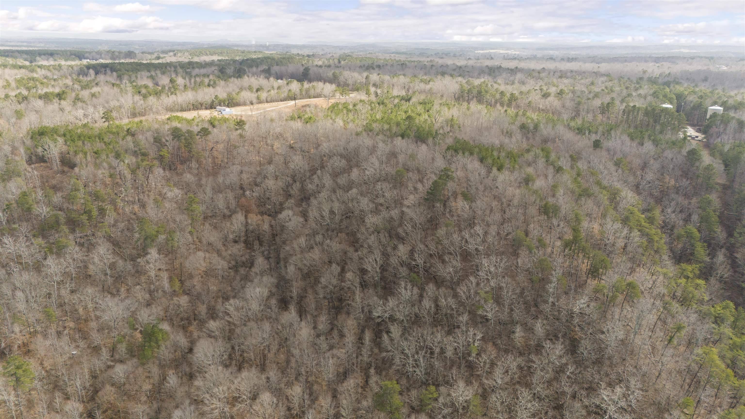 Bremen, AL 35033,0 Co Rd 36