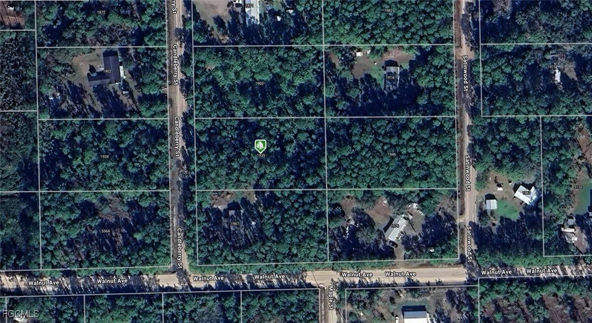 1935 Candleberry ST, Bunnell, FL 32110