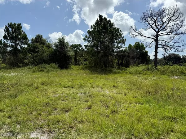 Clewiston, FL 33440,375 N Olivo ST